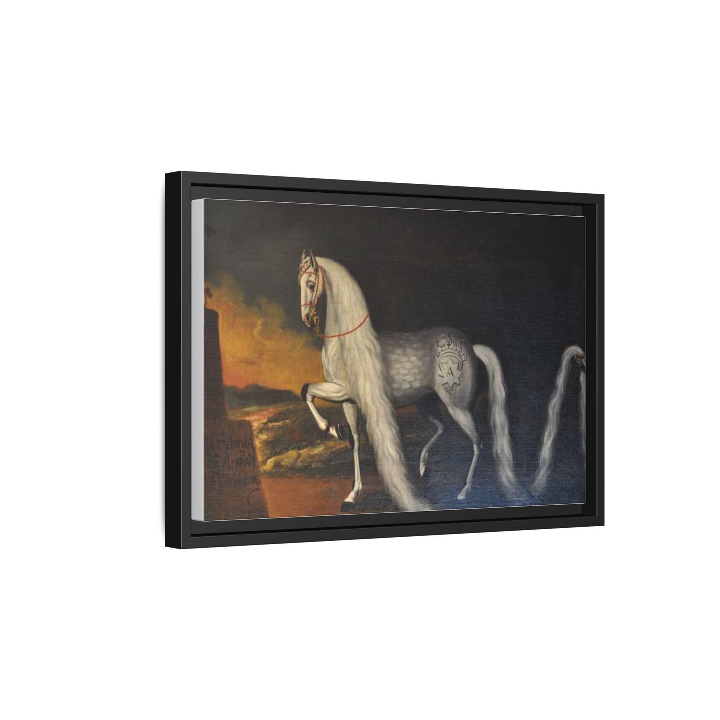 Matte Canvas Print — "Der Schwan zu Arnstadt" (Framed, Multi-Color)