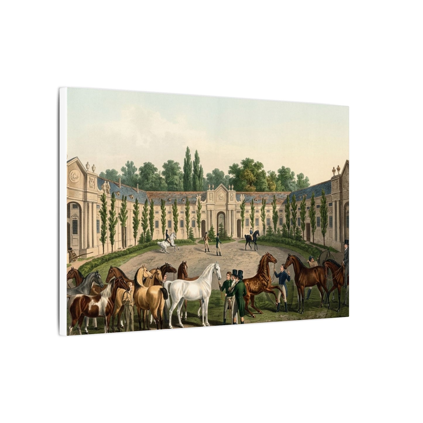 Equestrian Exhibition in the Courtyard Matte Canvas — Vintage 1906 Horse Exhibition Print