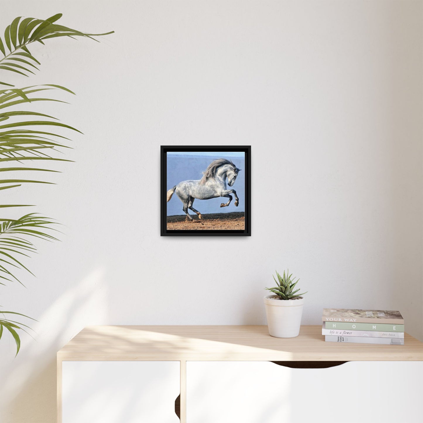Canvas Print - Andalusian Stallion in Spirited Play