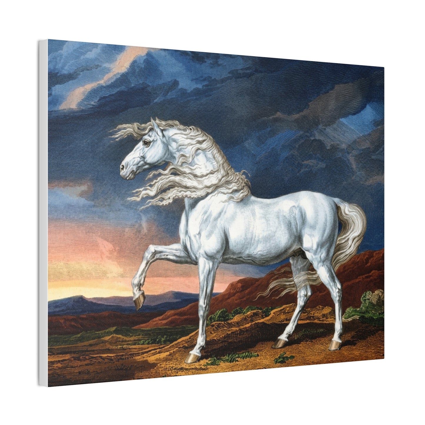 Adonis White Horse Canvas Print — Windswept Equestrian Wall Art