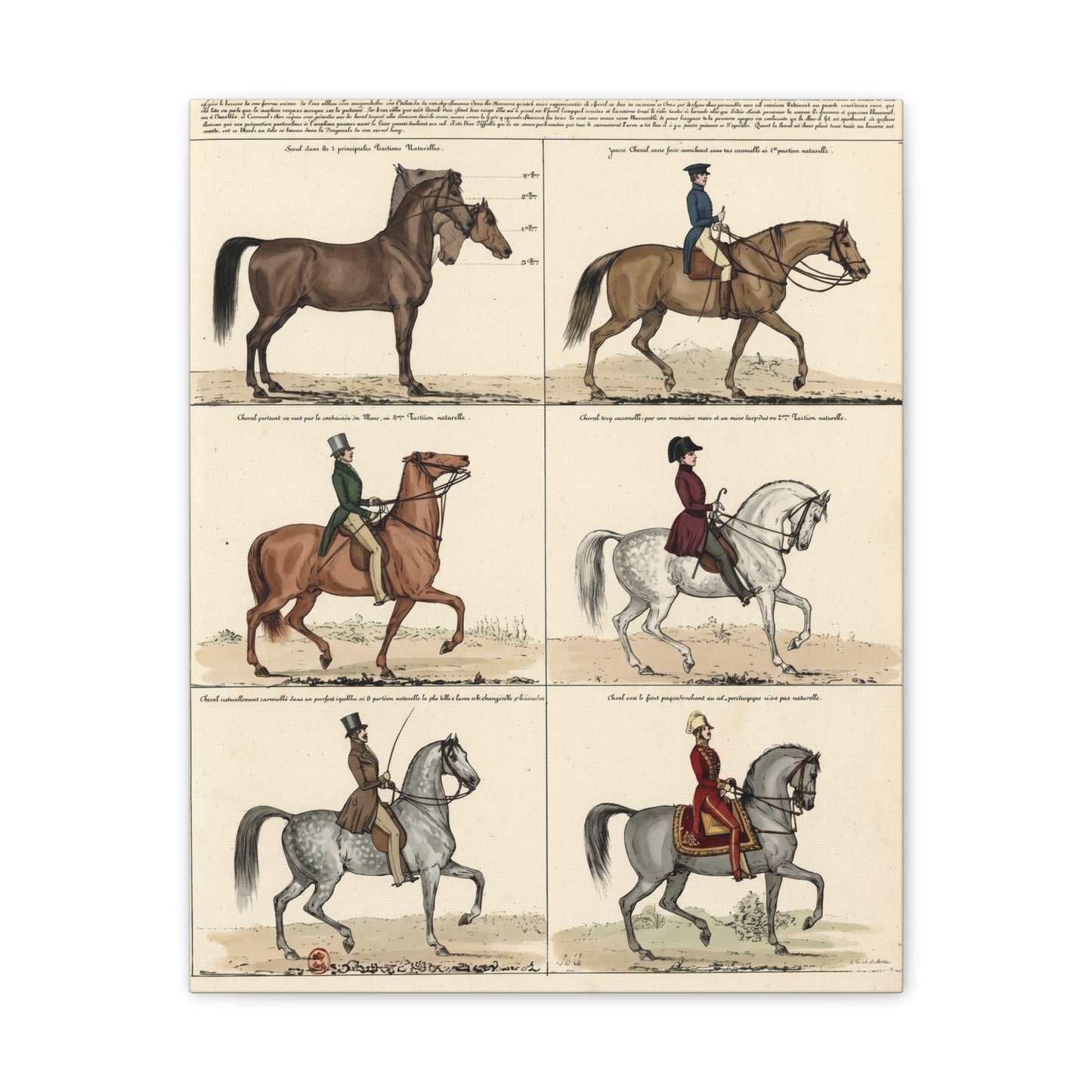 Vintage 1830s Horsemanship Canvas Print