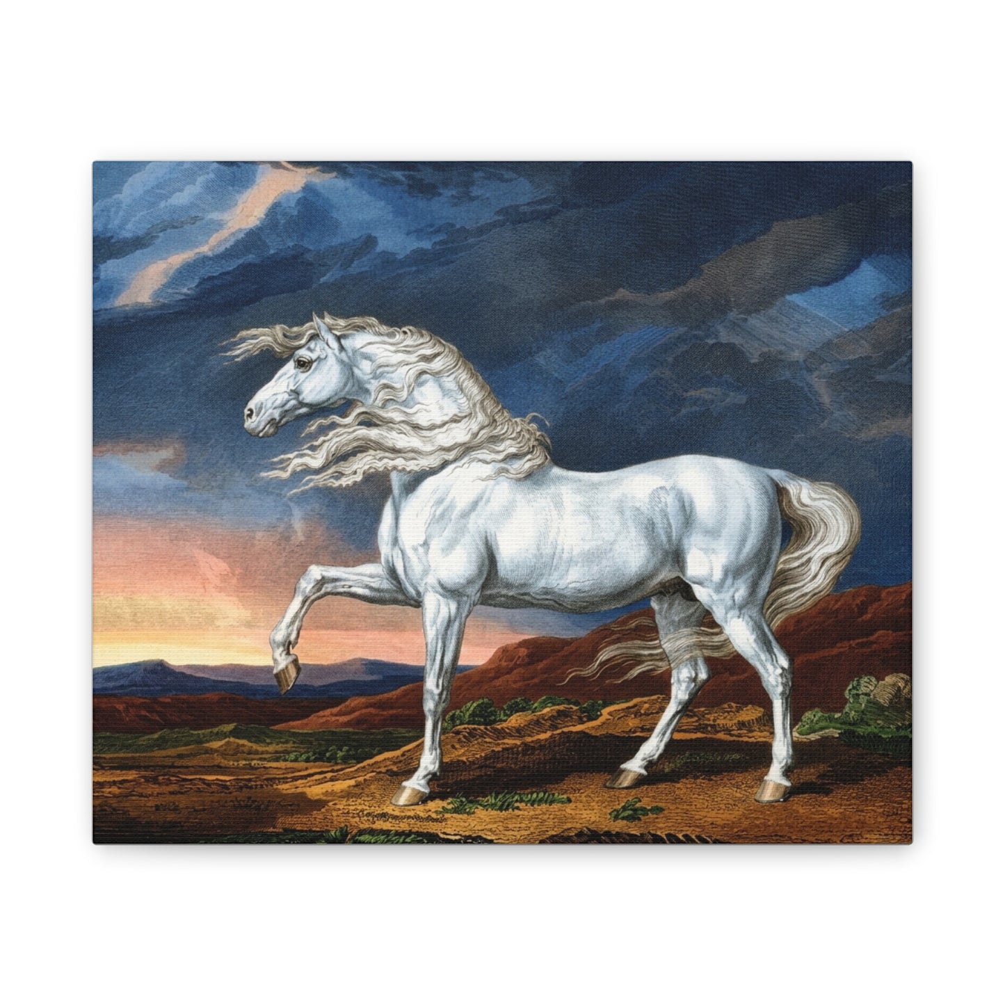 Adonis White Horse Canvas Print — Windswept Equestrian Wall Art