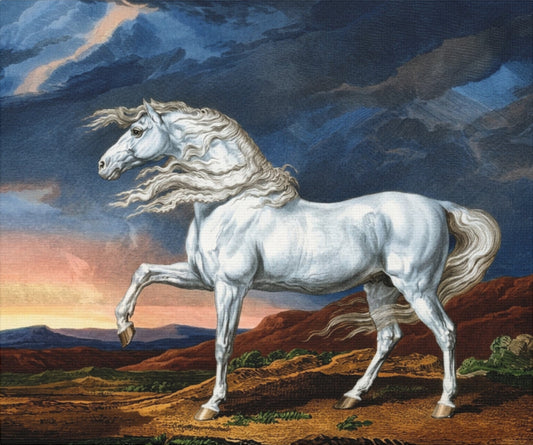 Adonis White Horse Canvas Print — Windswept Equestrian Wall Art