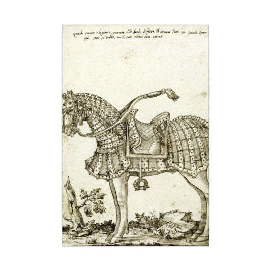 Renaissance Horse Illustration Matte Canvas Print
