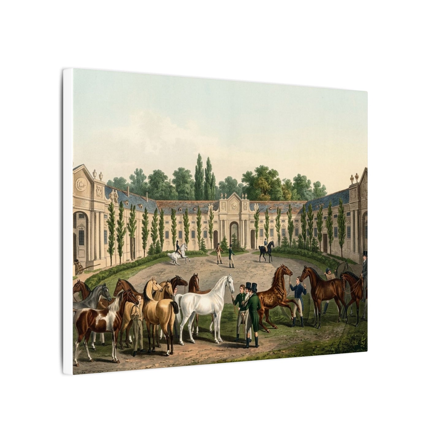 Equestrian Exhibition in the Courtyard Matte Canvas — Vintage 1906 Horse Exhibition Print