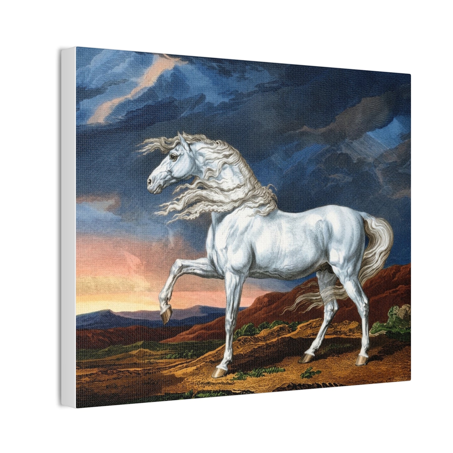 Adonis White Horse Canvas Print — Windswept Equestrian Wall Art