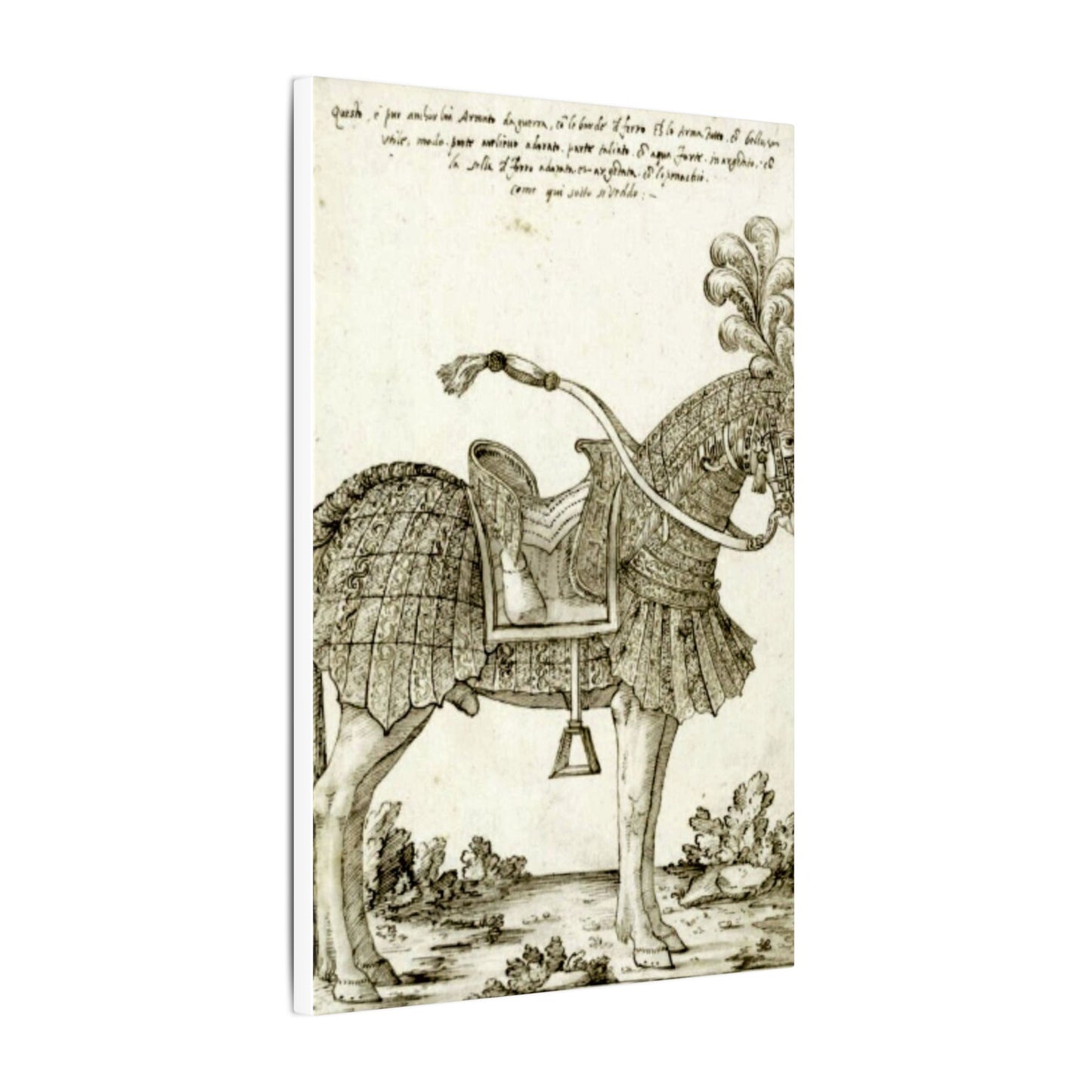 Renaissance Horse Illustration Matte Canvas Print