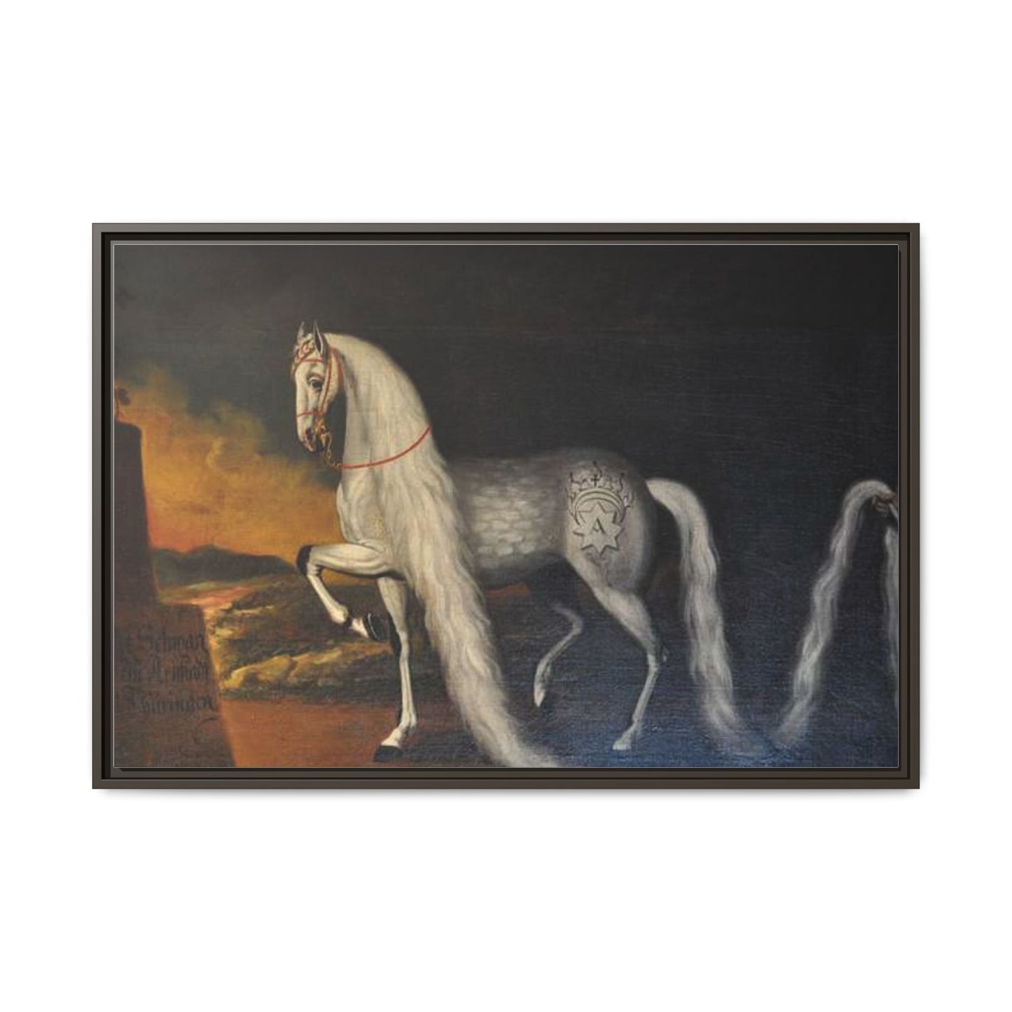 Matte Canvas Print — "Der Schwan zu Arnstadt" (Framed, Multi-Color)