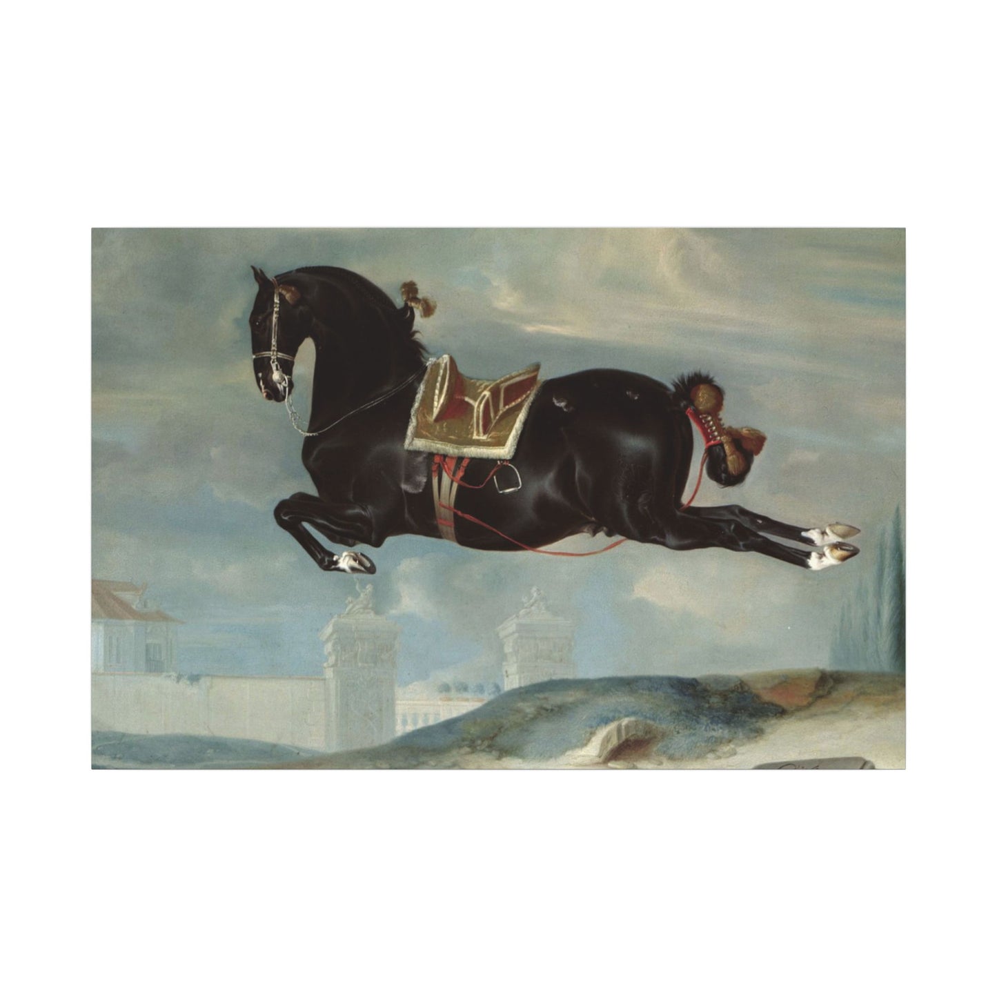 Capriole Horse Canvas Art Print – Eco-Friendly Stretched