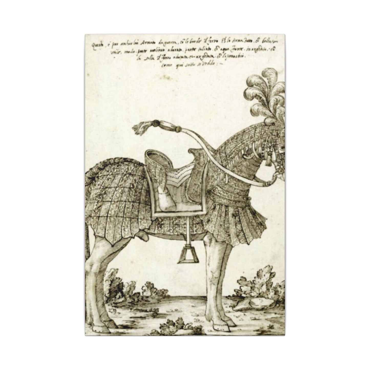 Renaissance Horse Illustration Matte Canvas Print