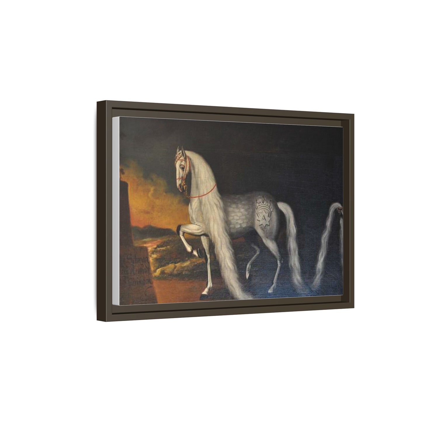 Matte Canvas Print — "Der Schwan zu Arnstadt" (Framed, Multi-Color)