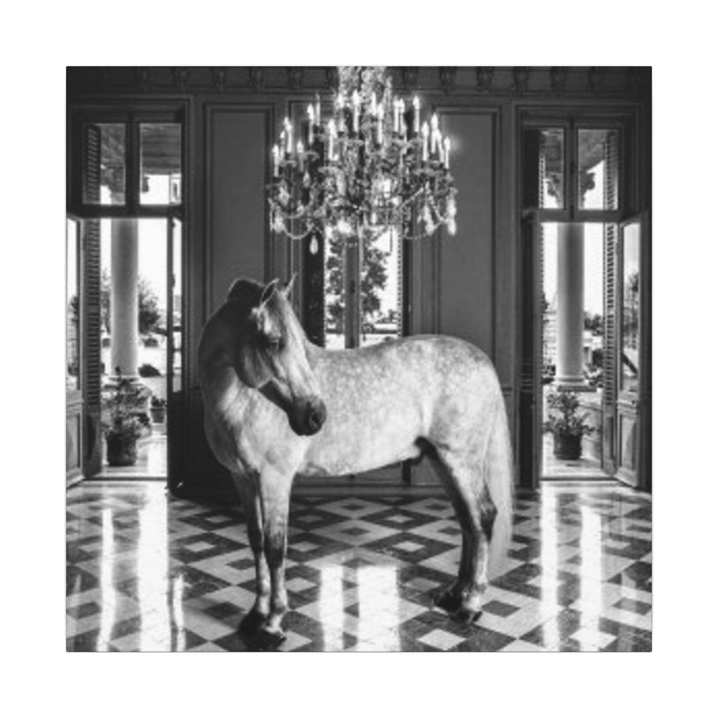 Equestrian Chateau Canvas