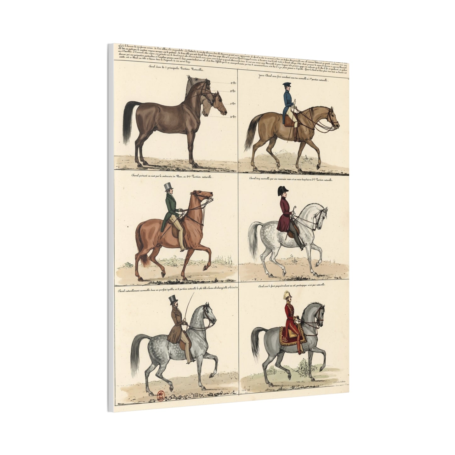 Vintage 1830s Horsemanship Canvas Print