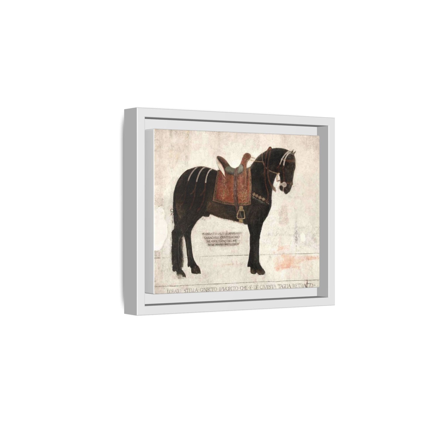 Framed Matte Canvas – 1523 Bay Horse 'Stella' Palazzo Pandone Fresco Print