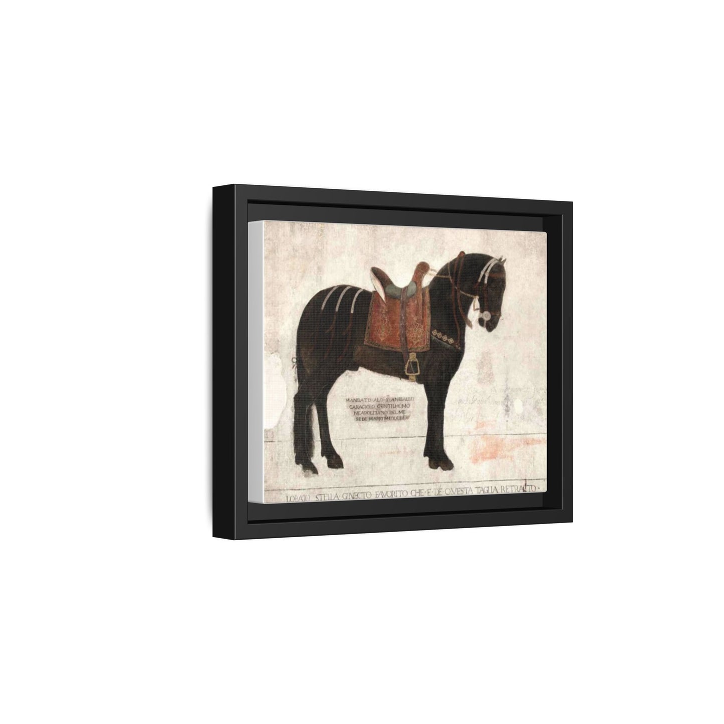 Framed Matte Canvas – 1523 Bay Horse 'Stella' Palazzo Pandone Fresco Print