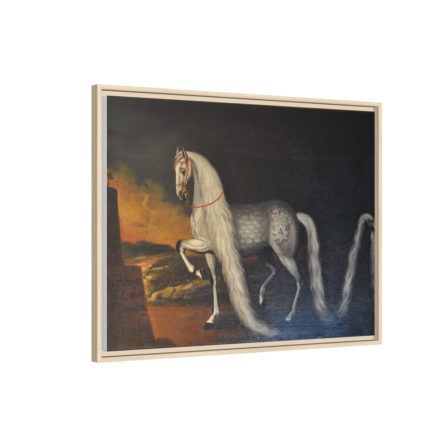 Matte Canvas Print — "Der Schwan zu Arnstadt" (Framed, Multi-Color)