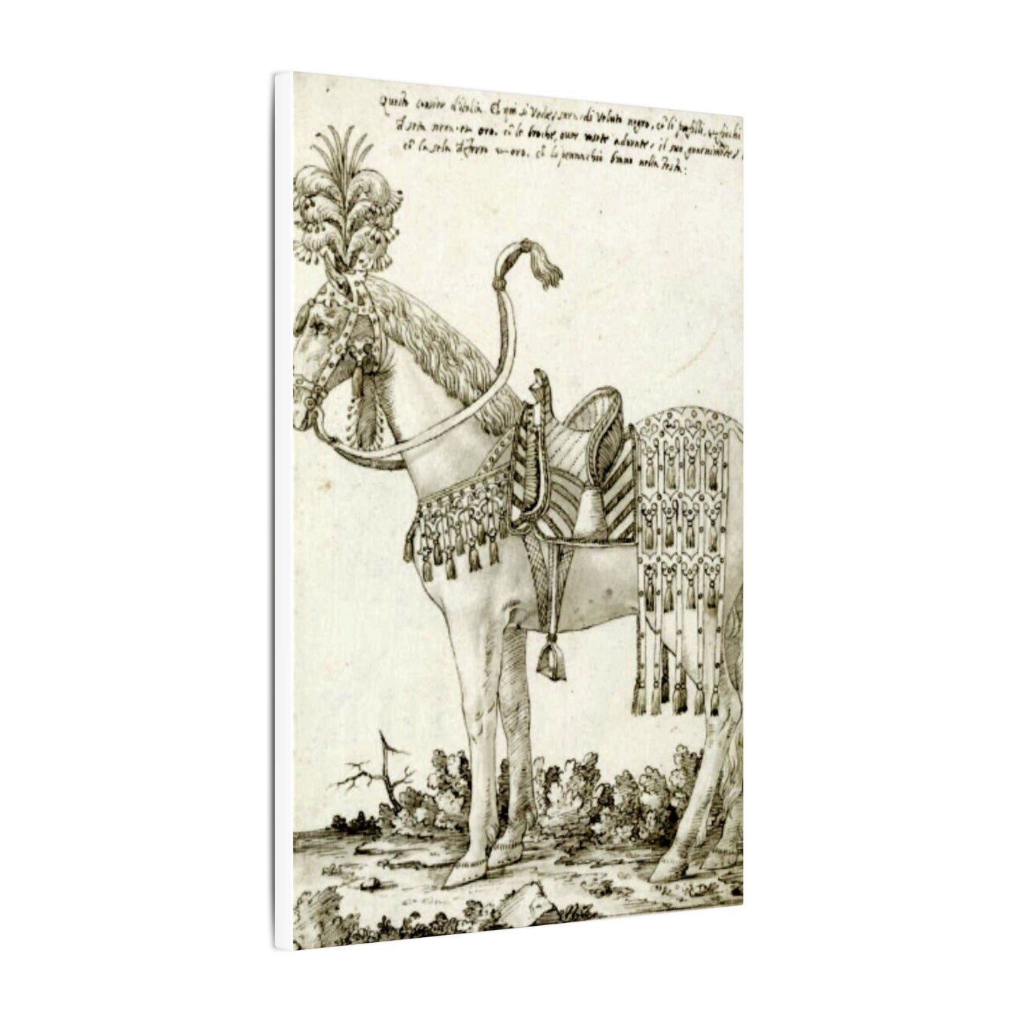 Renaissance Horse Dressed for Parade - Vintage Equestrian Drawing Print