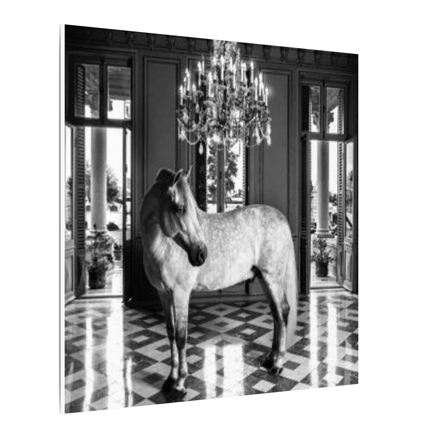 Equestrian Chateau Canvas
