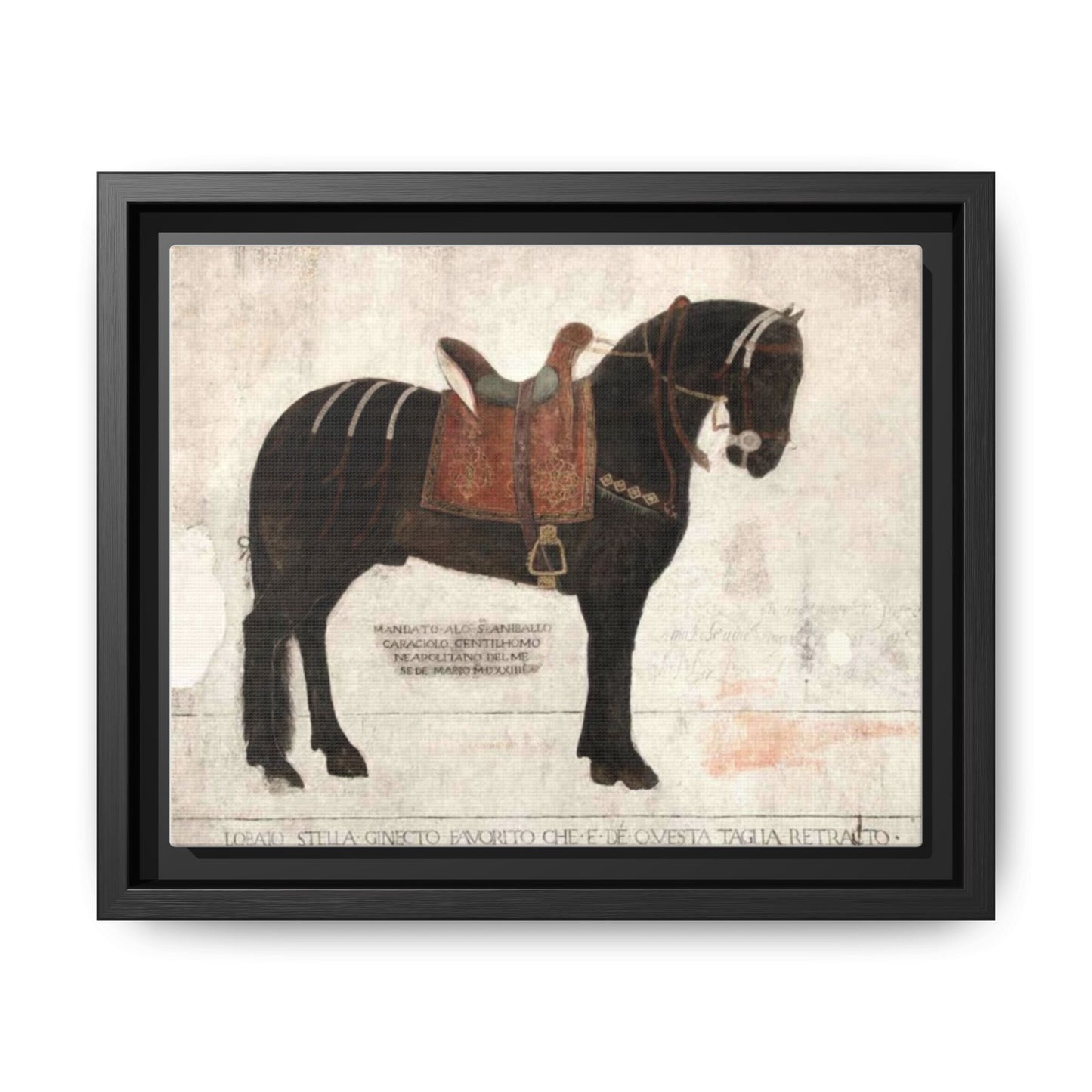 Framed Matte Canvas – 1523 Bay Horse 'Stella' Palazzo Pandone Fresco Print