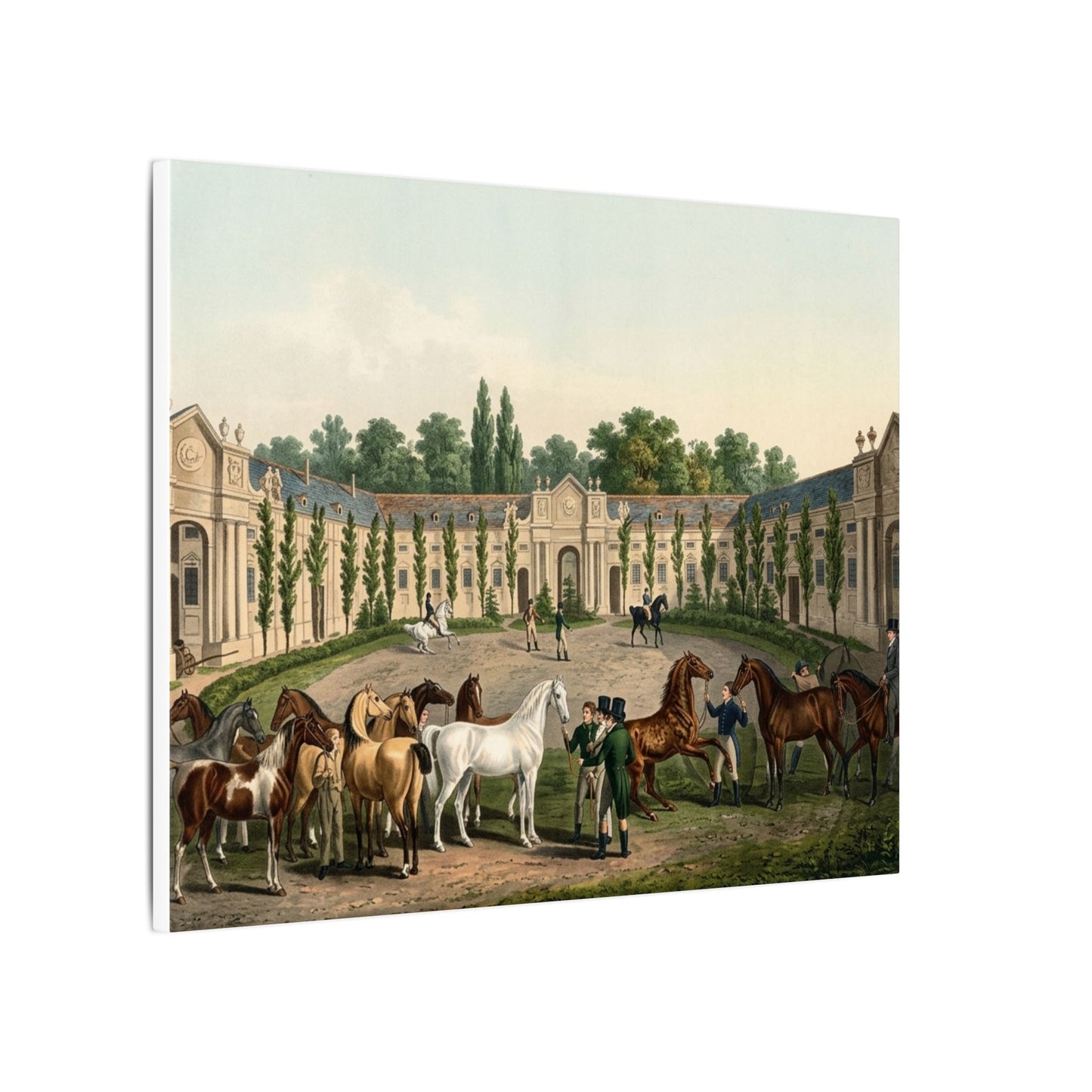 Equestrian Exhibition in the Courtyard Matte Canvas — Vintage 1906 Horse Exhibition Print