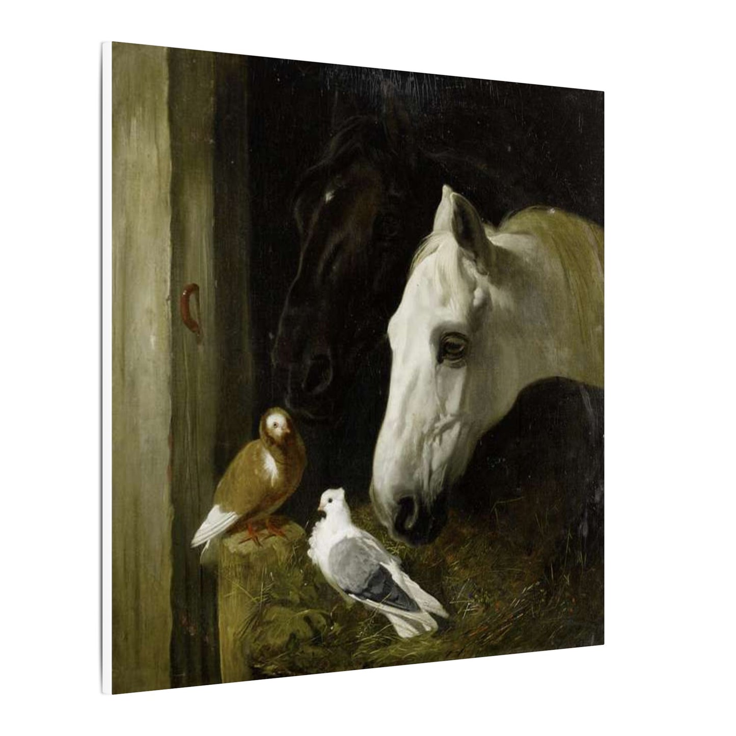 Horse and Doves Matte Canvas Print — "Stable Companions" 1859 Classic Animal Art