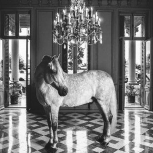 Equestrian Chateau Canvas