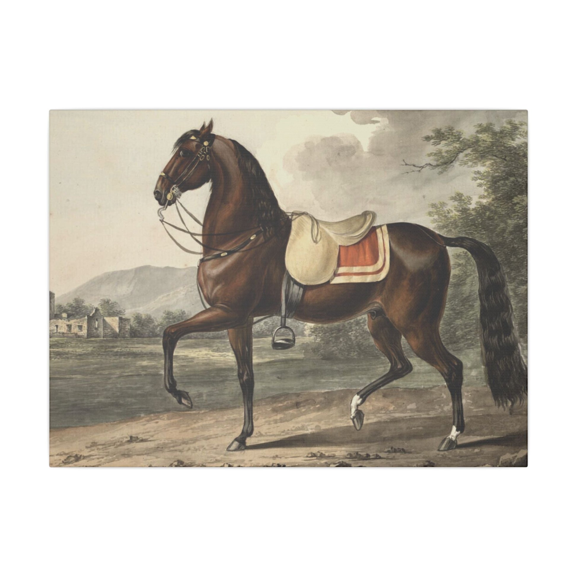 Canvas Print - Acca Original Spanish Horse from the Acka Breed - 16″ x 12″ (Horizontal) / 0.75’’ - Canvas