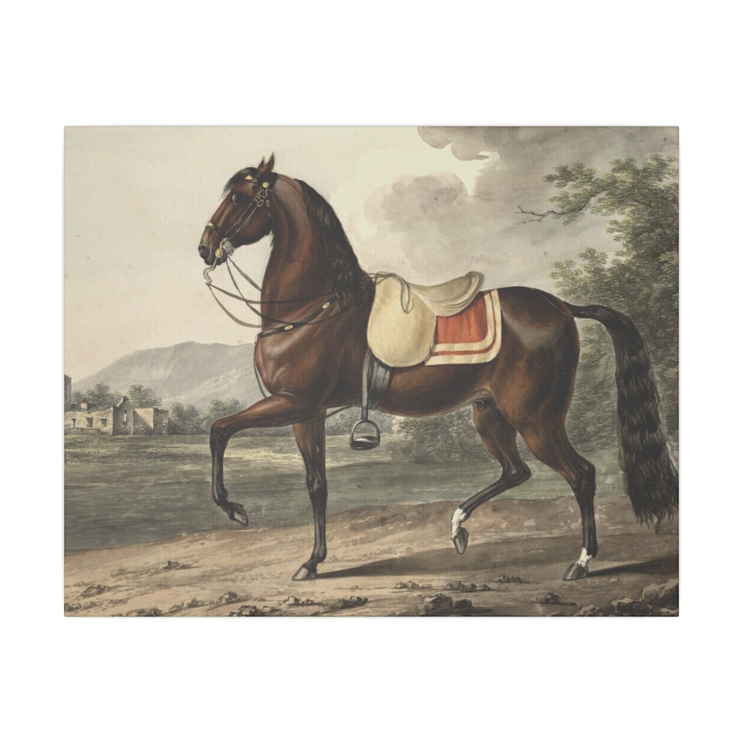 Canvas Print - Acca Original Spanish Horse from the Acka Breed - 20’’ x 16’’ (Horizontal) / 0.75’’ - Canvas