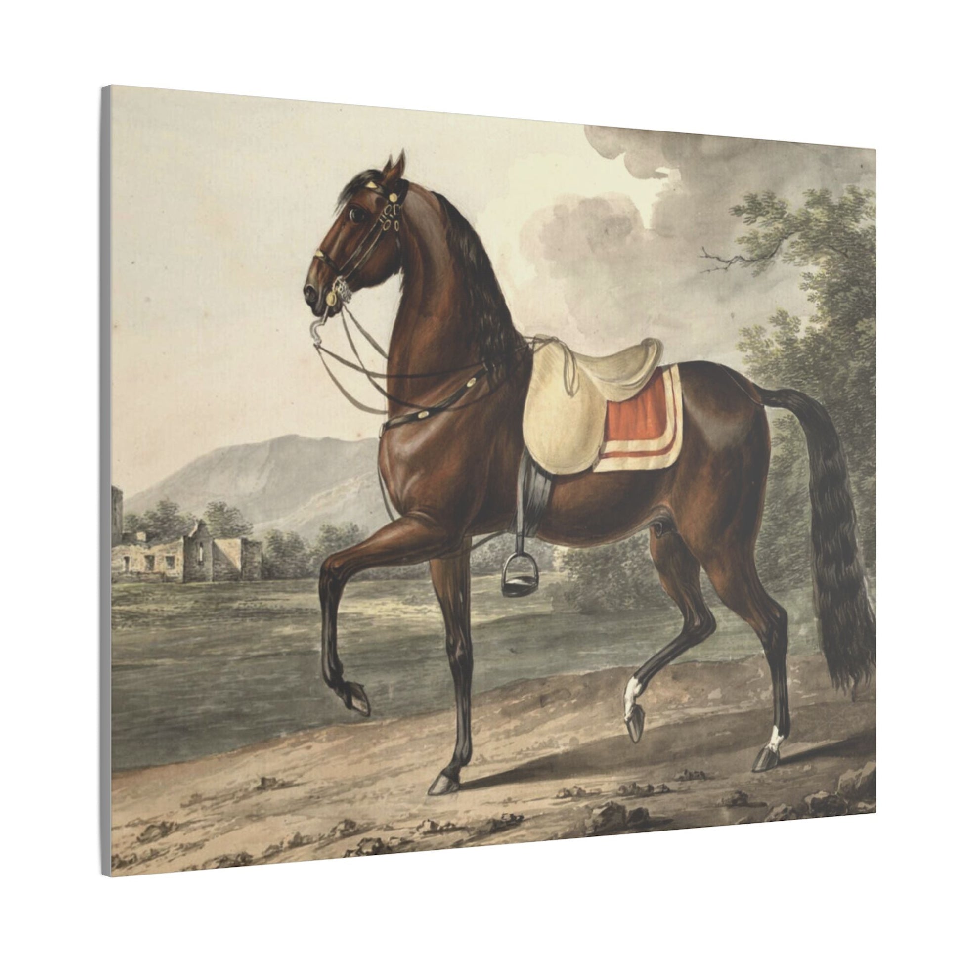 Canvas Print - Acca Original Spanish Horse from the Acka Breed - Canvas