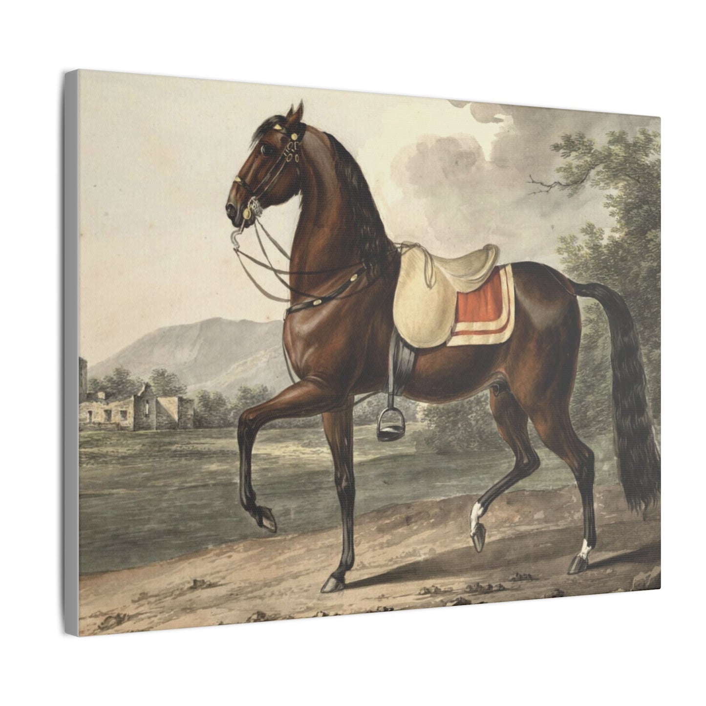 Canvas Print - Acca Original Spanish Horse from the Acka Breed - Canvas