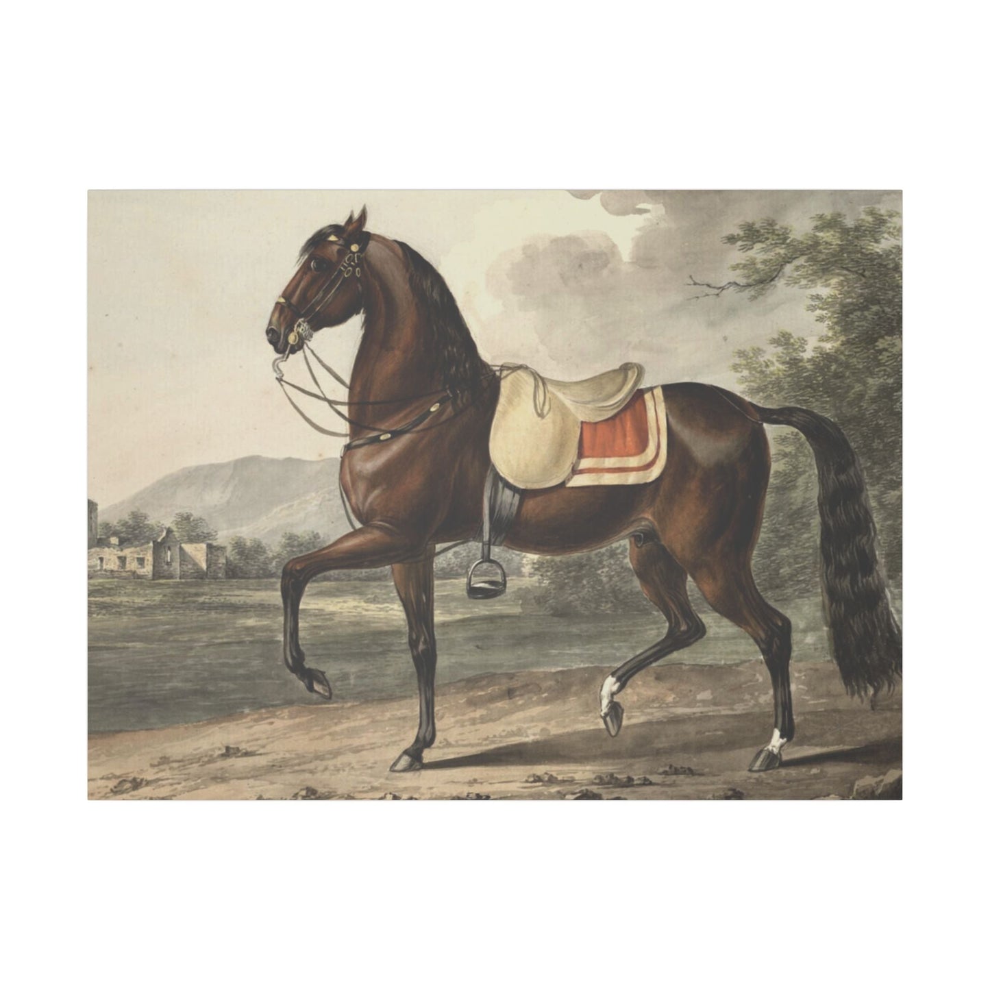 Canvas Print - Acca Original Spanish Horse from the Acka Breed - 48’’ x 36’’ (Horizontal) / 0.75’’ - Canvas
