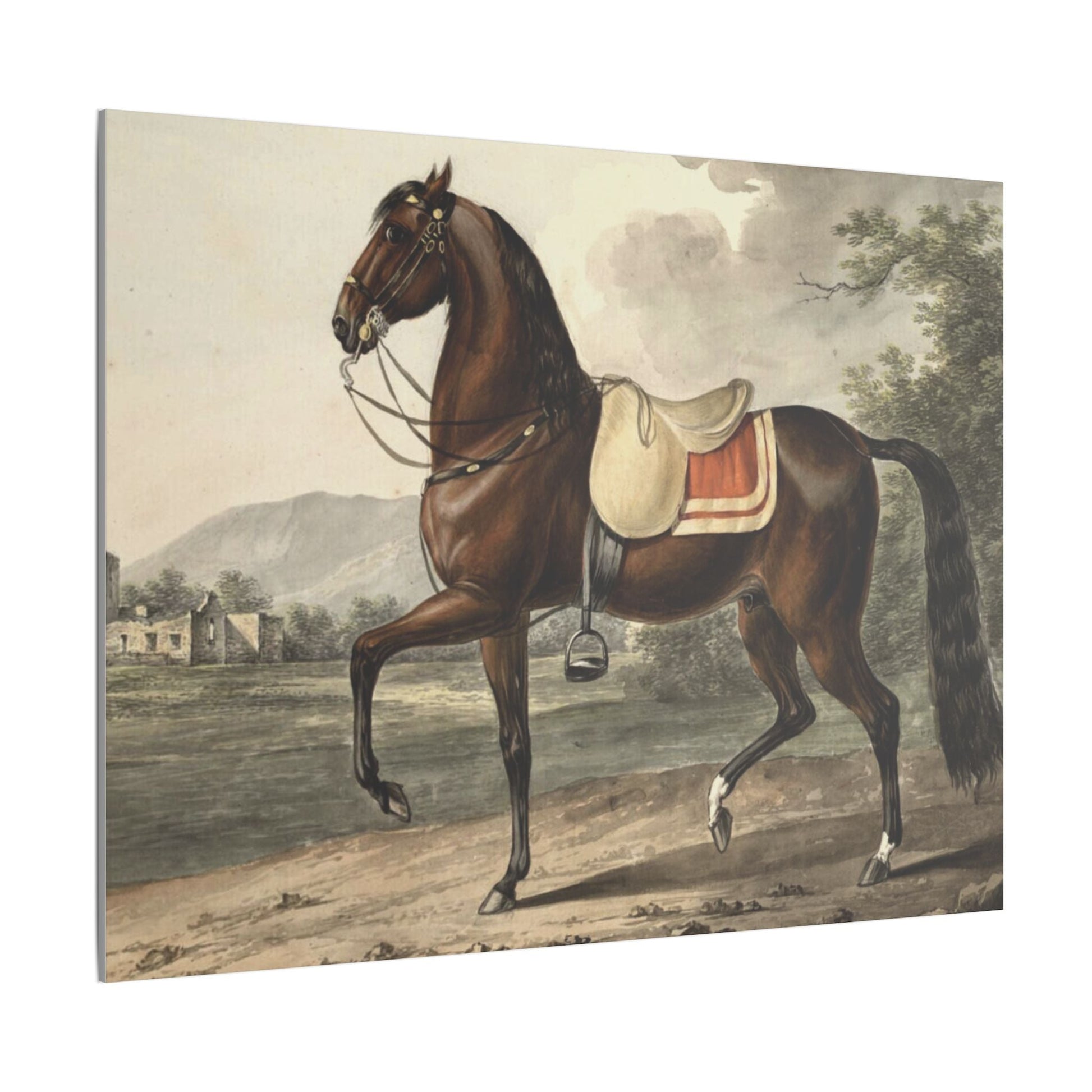 Canvas Print - Acca Original Spanish Horse from the Acka Breed - Canvas
