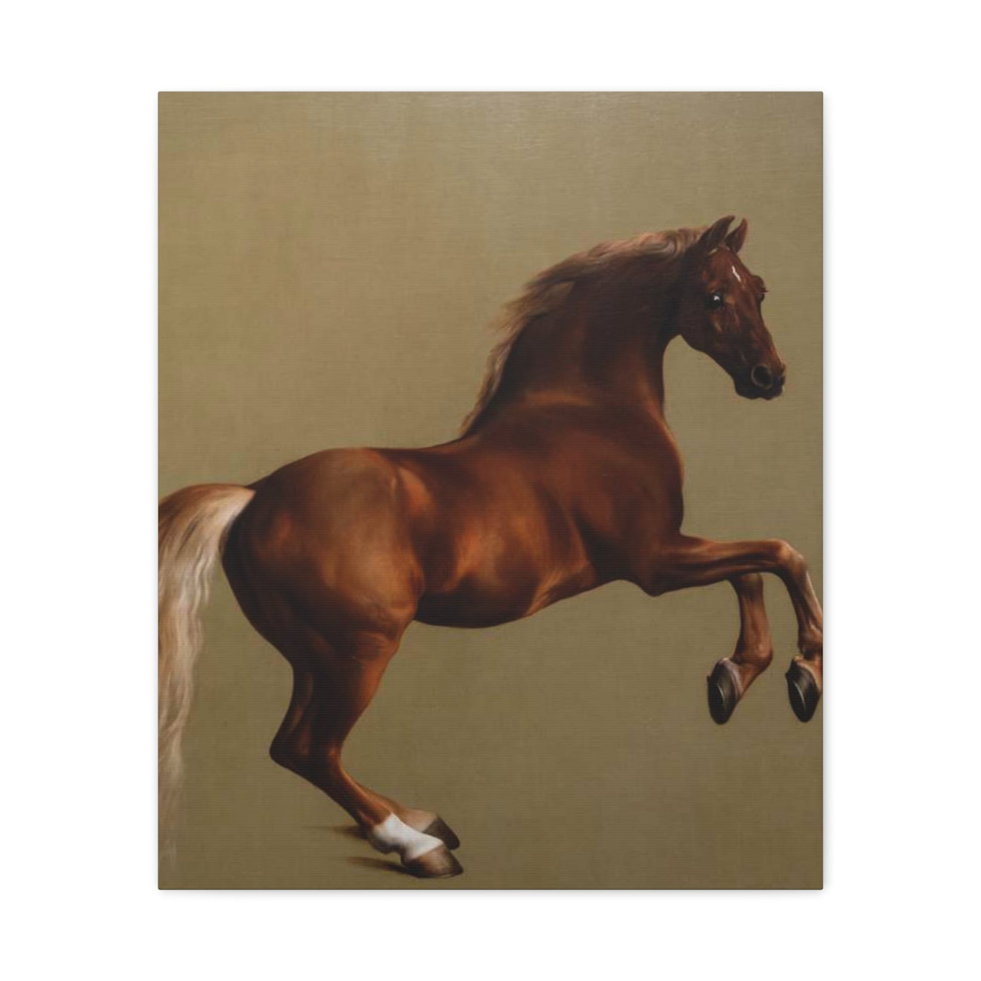 Canvas Print - George Stubbs Racehorse Whistlejacket Painting - 20’’ x 24’’ (Vertical) / 1.25’’ - Canvas