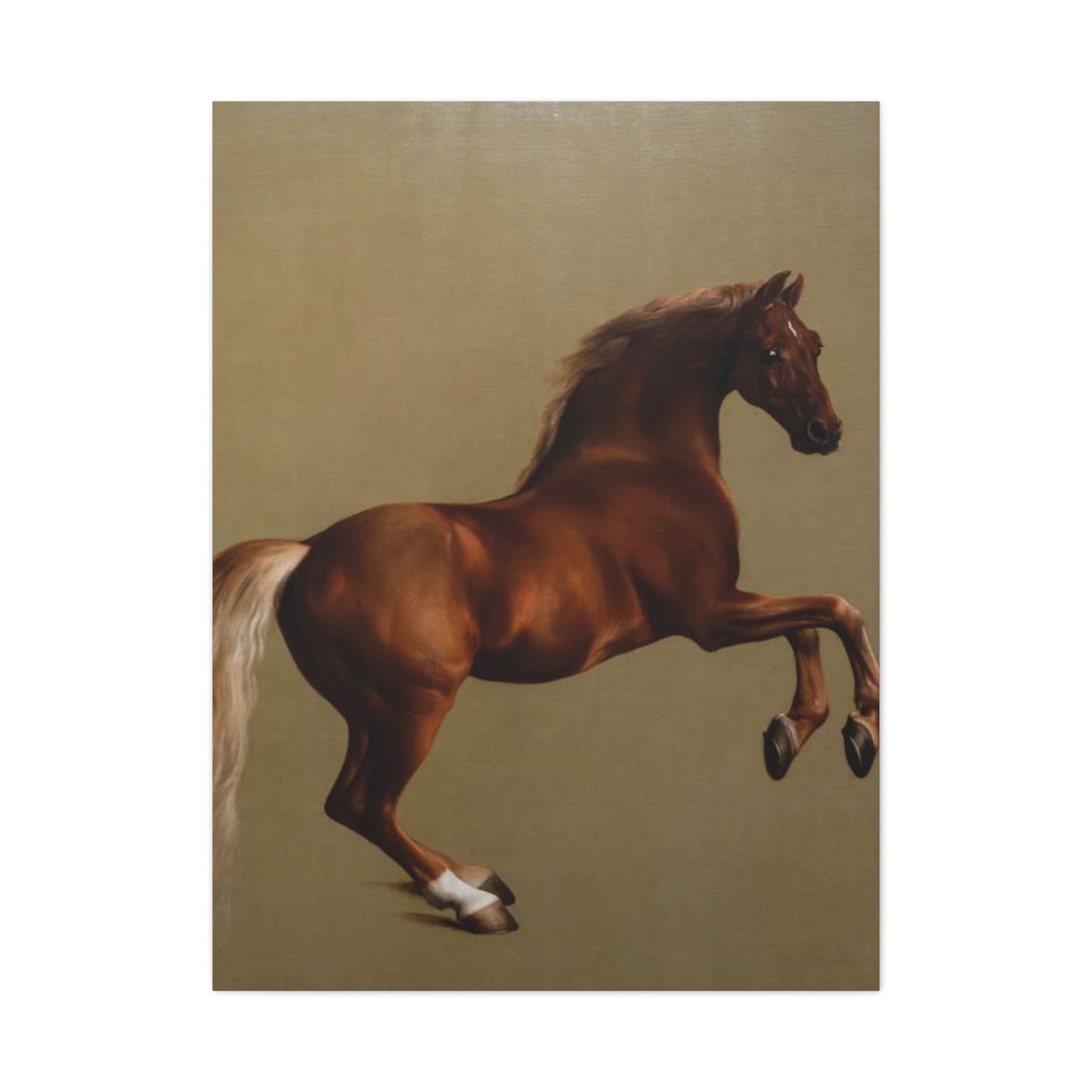 Canvas Print - George Stubbs Racehorse Whistlejacket Painting - 30’’ x 40’’ (Vertical) / 1.25’’ - Canvas