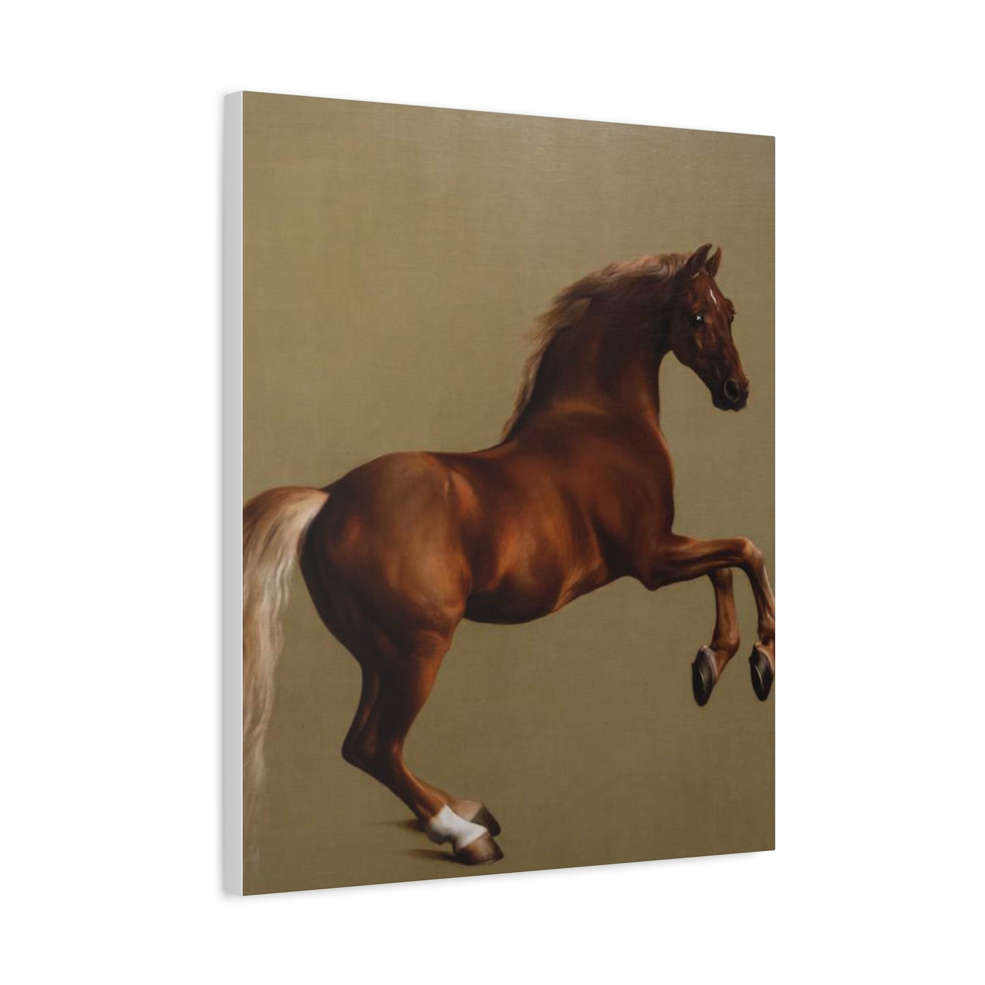 Canvas Print - George Stubbs Racehorse Whistlejacket Painting - Canvas