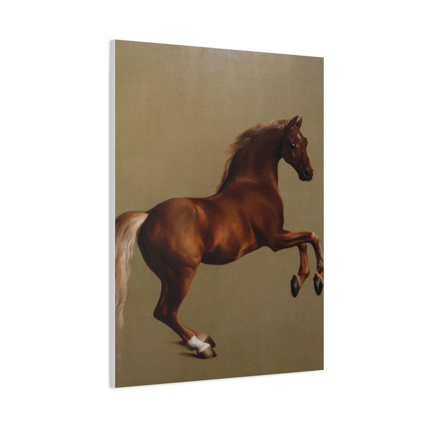 Canvas Print - George Stubbs Racehorse Whistlejacket Painting - Canvas