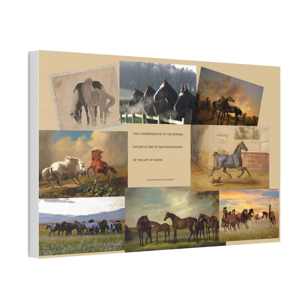 Canvas Stretched Horse Training Truth 1 5’’ Wall Art - Canvas