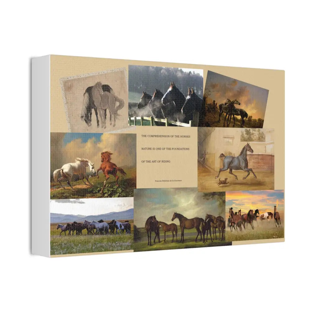 Canvas Stretched Horse Training Truth 1 5’’ Wall Art - Canvas