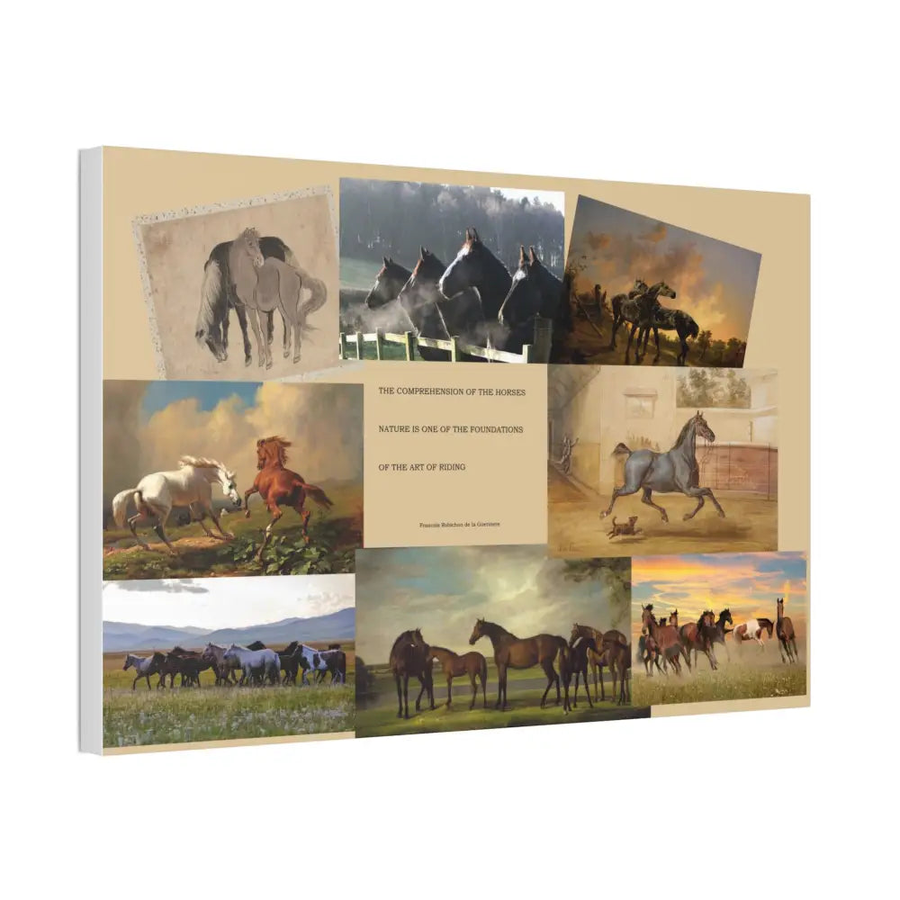 Canvas Stretched Horse Training Truth 1 5’’ Wall Art - Canvas