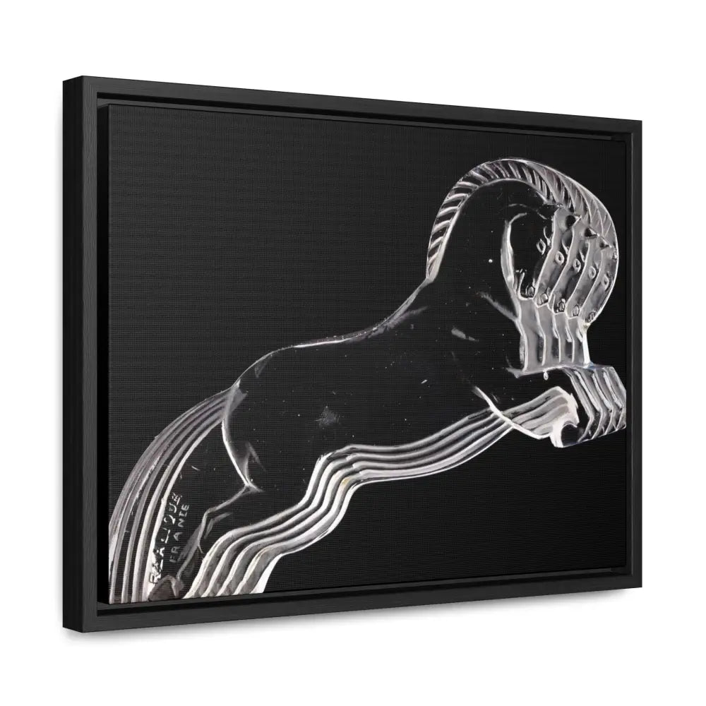 Canvas Wraps - Canvas