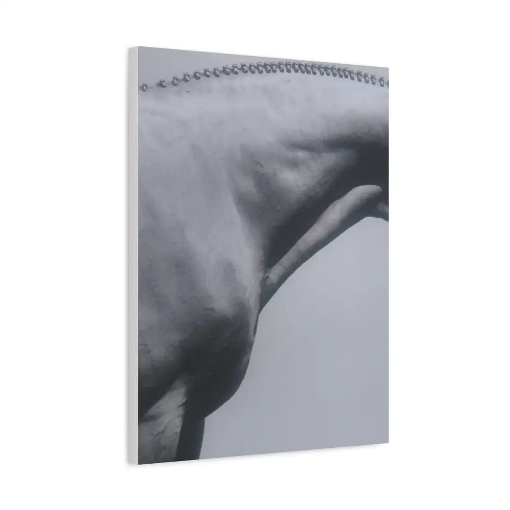 Elegant Horse Canvas Wall Art - Stretched Matte Print: Hunter Braids - Canvas