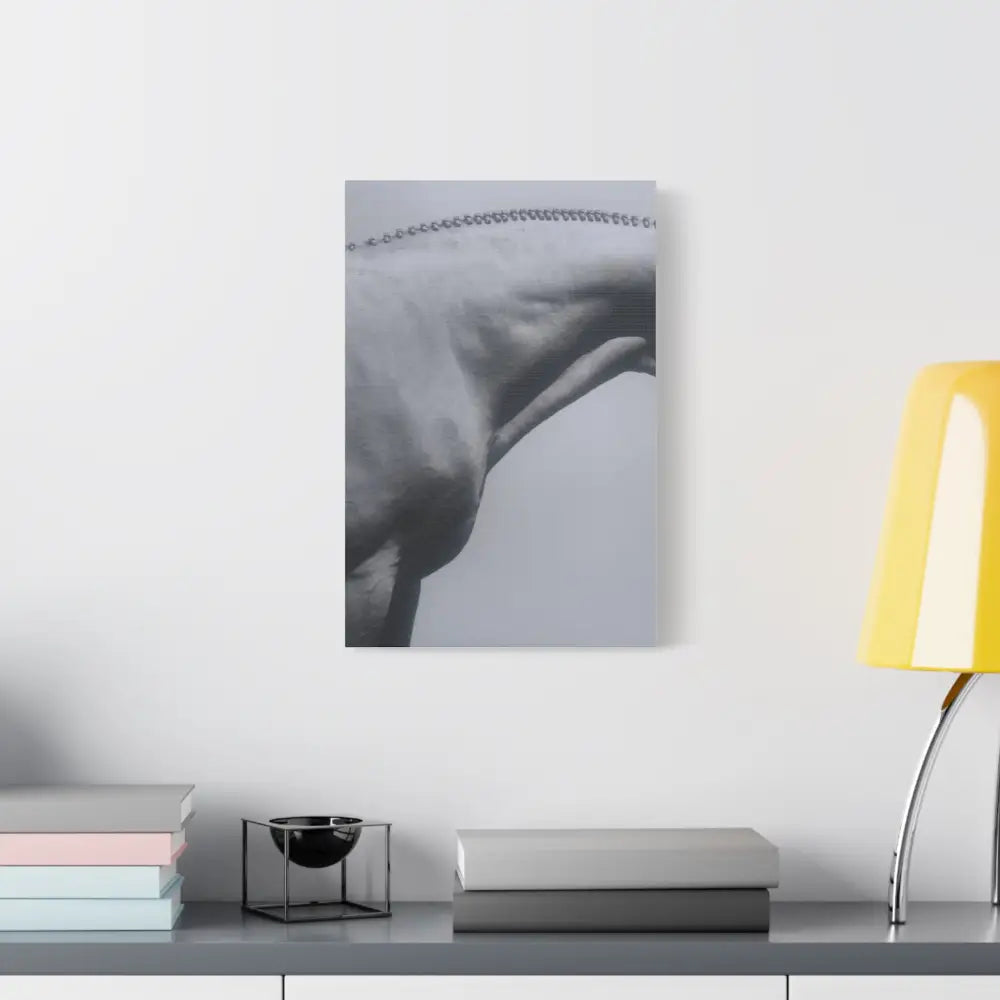 Elegant Horse Canvas Wall Art - Stretched Matte Print: Hunter Braids - Canvas