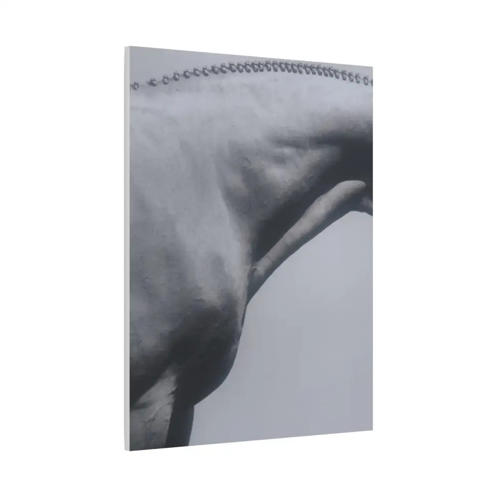 Elegant Horse Canvas Wall Art - Stretched Matte Print: Hunter Braids - Canvas
