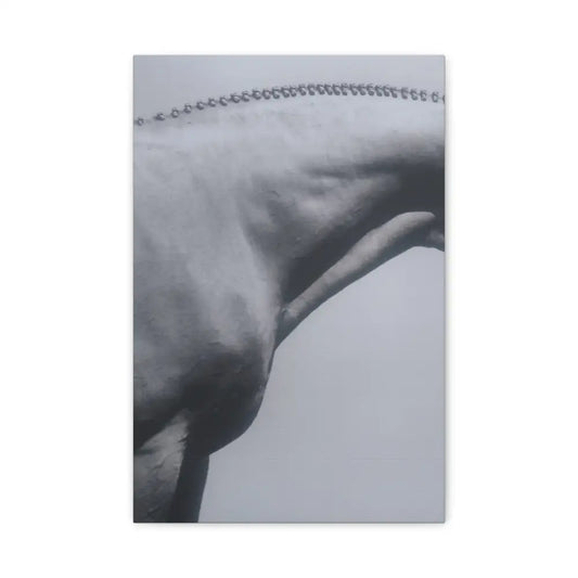 Elegant Horse Canvas Wall Art - Stretched Matte Print: Hunter Braids - 12″ x 18″ (Vertical) / 1.25’’ - Canvas