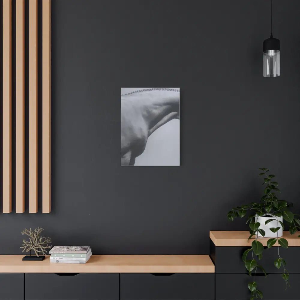 Elegant Horse Canvas Wall Art - Stretched Matte Print: Hunter Braids - Canvas