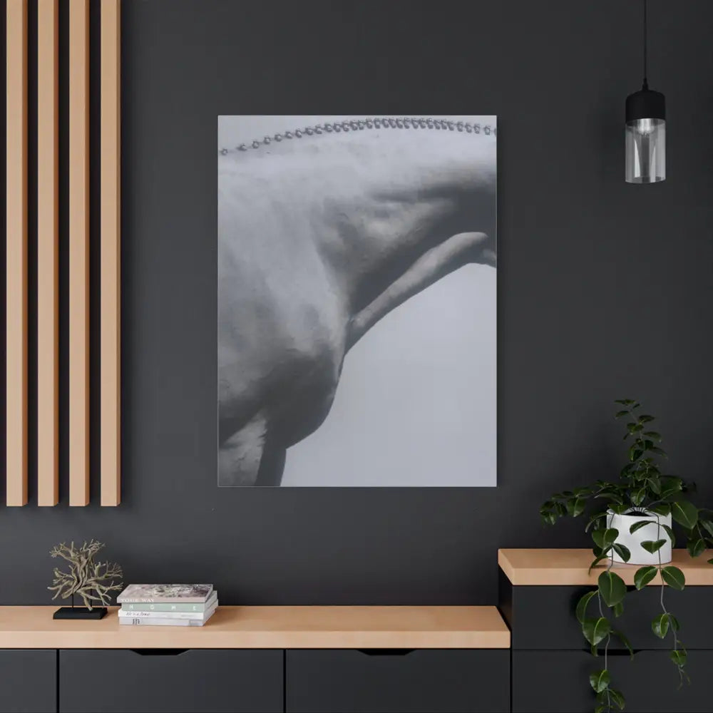 Elegant Horse Canvas Wall Art - Stretched Matte Print: Hunter Braids - Canvas