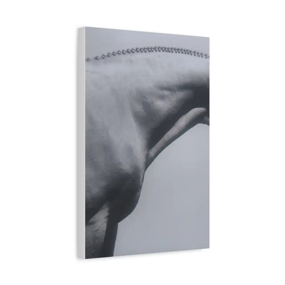 Elegant Horse Canvas Wall Art - Stretched Matte Print: Hunter Braids - Canvas