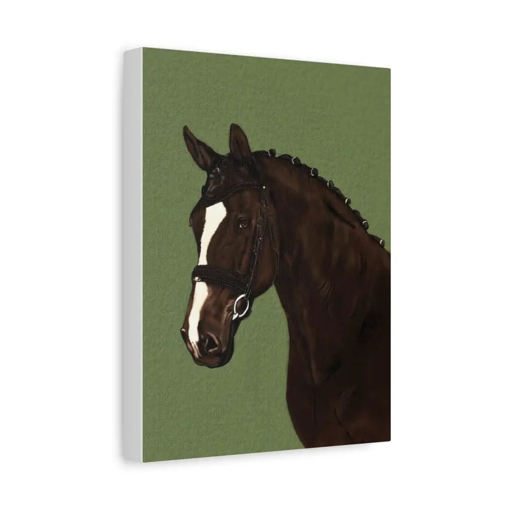 Equestrian Canvas Art Print - Stunning Horse Portrait on Matte Stretched Canvas - Canvas