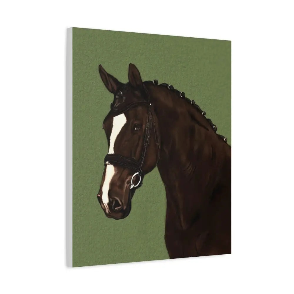 Equestrian Canvas Art Print - Stunning Horse Portrait on Matte Stretched Canvas - Canvas