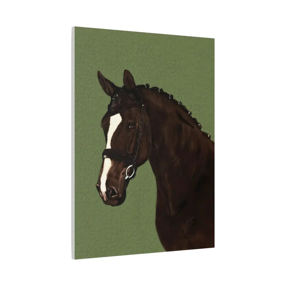 Equestrian Canvas Art Print - Stunning Horse Portrait on Matte Stretched Canvas - Canvas